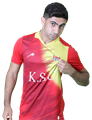 danial sadi