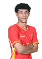 Hamid Mosavi