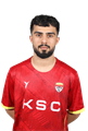 سید حسین محمودی
