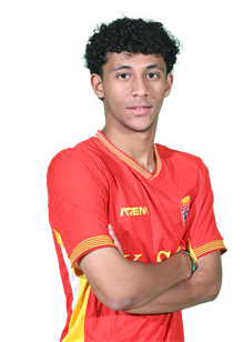 Hamid Mosavi