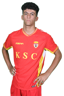 Morteza Savari